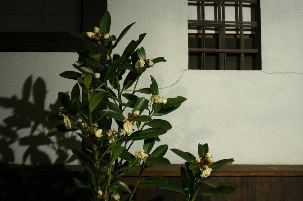 Osaka Guest House Drummer'S Dream Sakai  Bilik gambar